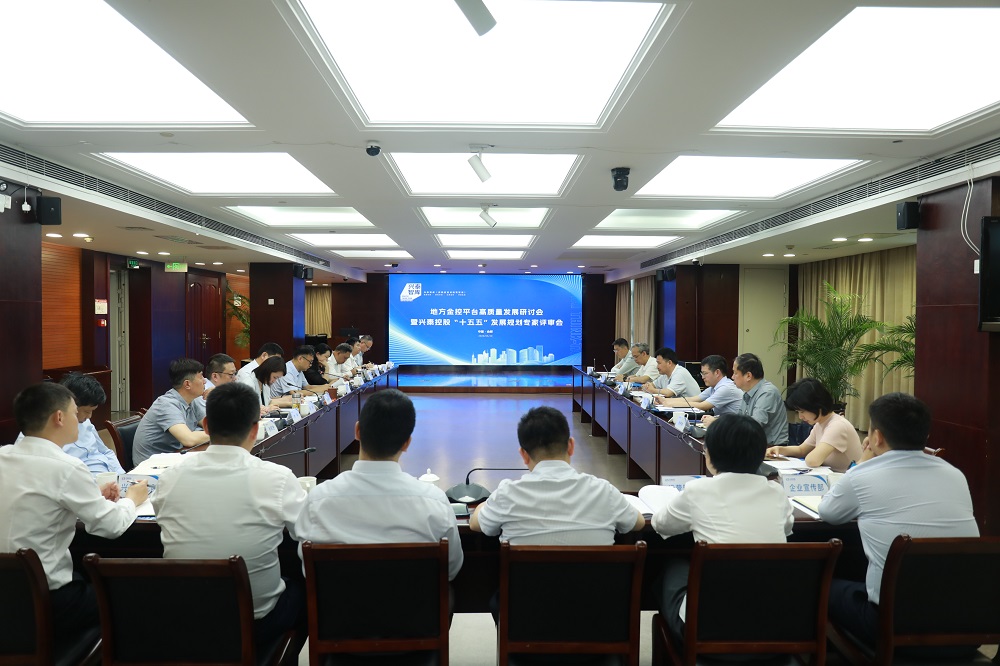 兴泰智库·地方金控平台高质量发展研讨会暨兴泰控股“十五五”发展规划专家评审会召开